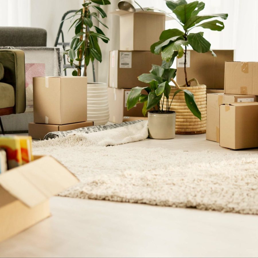 Room, boxes and moving in house, couch and investment of real estate, empty and shipping of luggage.